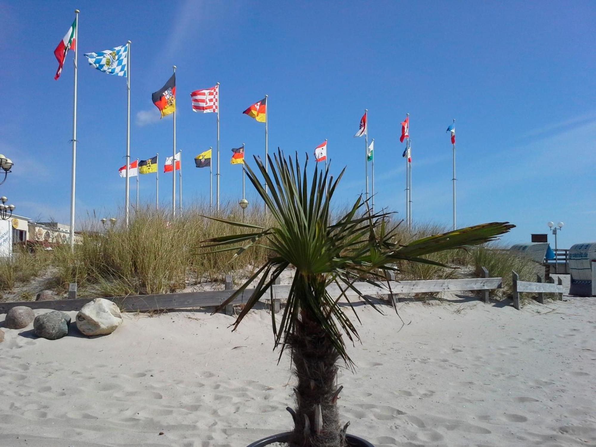 Haus Baltic - Whg 23 - Neu Inkl Saisonstrandkorb! Грёмиц Экстерьер фото